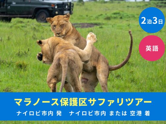【ナイロビ発着 2泊3日】マラノース保護区サファリツアー　選べる2つの宿泊ロッジ＆貴重なナイトゲームドライブ体験可＜英語ドライバーガイド／空港お送り可＞