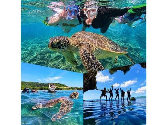 青の洞窟＆ウミガメ感動シュノーケル 初心者大歓迎◎4K写真・動画無料プレゼント付き！シャワー更衣室完備＜約2時間30分／石垣島／少人数制＞