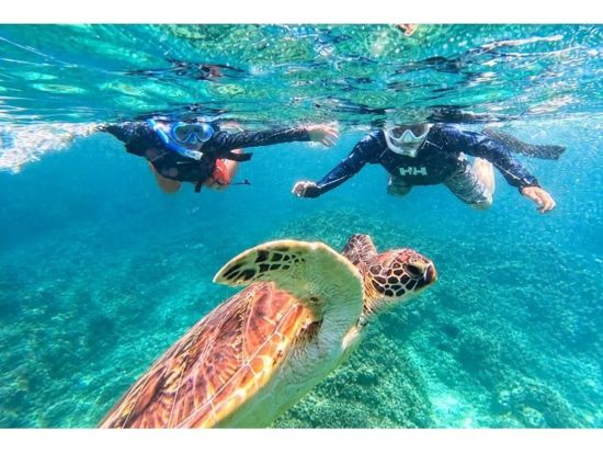青の洞窟＆ウミガメ感動シュノーケル 初心者大歓迎◎4K写真・動画無料プレゼント付き！シャワー更衣室完備＜約2時間30分／石垣島／少人数制＞