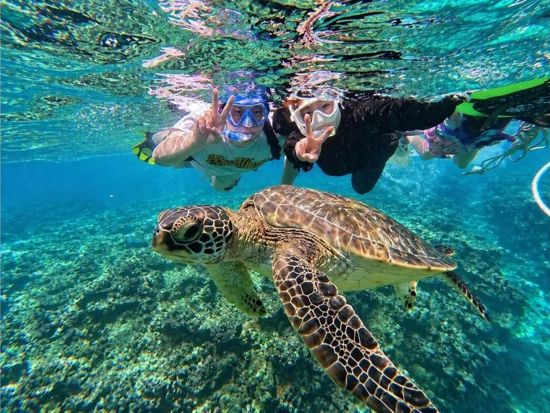 青の洞窟＆ウミガメ感動シュノーケル 初心者大歓迎◎4K写真・動画無料プレゼント付き！シャワー更衣室完備＜約2時間30分／石垣島／少人数制＞