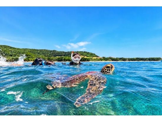 青の洞窟＆ウミガメ感動シュノーケル 初心者大歓迎◎4K写真・動画無料プレゼント付き！シャワー更衣室完備＜約2時間30分／石垣島／少人数制＞