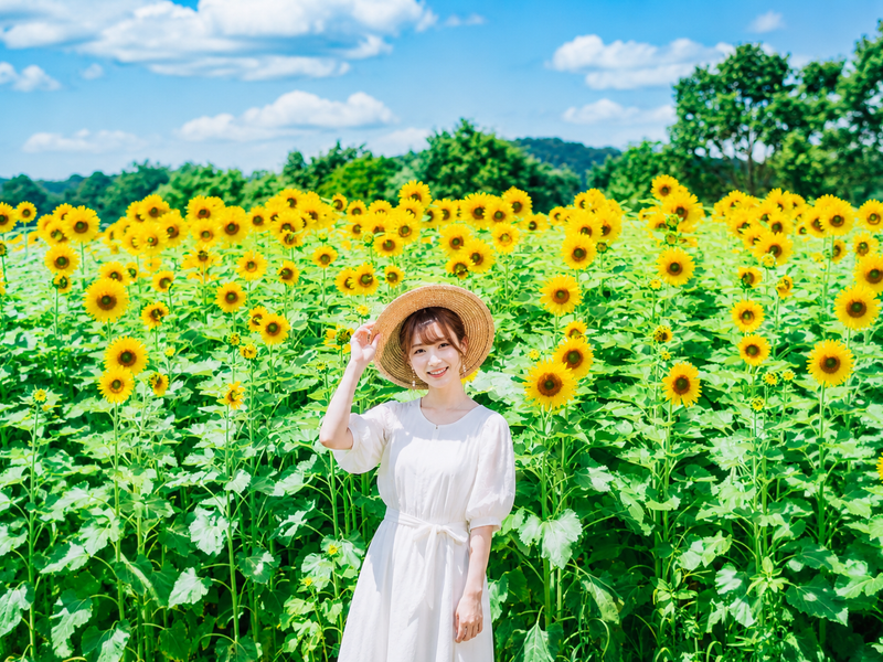 德國之森花