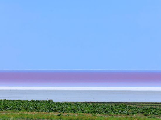 pixta_115923259_M