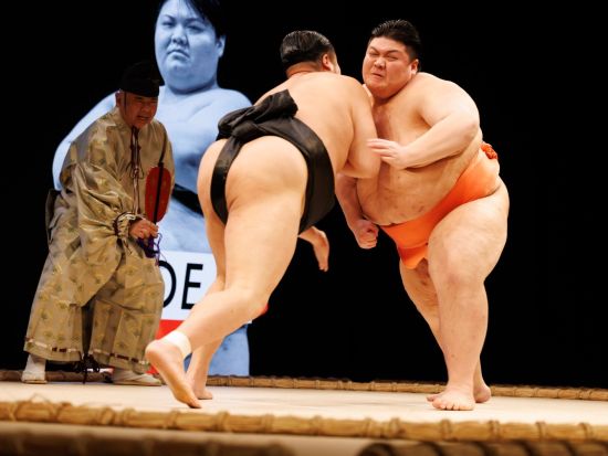THE SUMO HALL 日楽座 OSAKA Sumo Show＜お弁当付き／英語＞