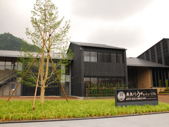 【名古屋発着】　長良川鵜飼＆岐阜周遊日帰りツアー 1300年の伝統「鵜飼観覧」と川原町散策・岐阜大仏・うかいミュージアム＜3言語対応／1名様から予約可能＞