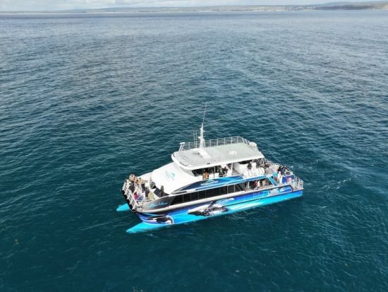 オーガスタホエールウォッチングエコツアー　西オーストラリアで豪華カタマランに乗ってクジラを鑑賞！ ＜6月～8月／英語ガイド／現地集合解散＞