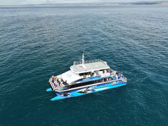DJI_20250822105949_0040_D
