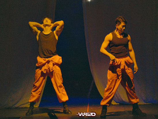 女性限定！「Wild Wild」公演チケット　セクシーな男性たちの魅惑のショー ＜19歳以上女性限定／乙支路3街駅徒歩2分＞
