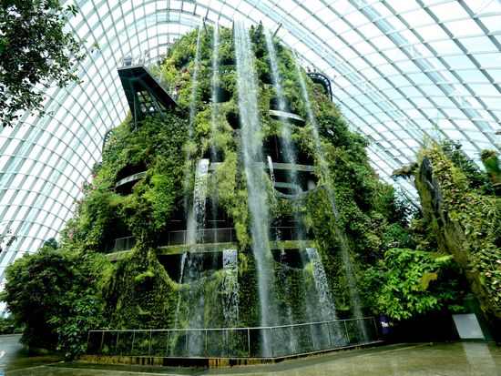 Cloud Forest 窶・Waterfall 6