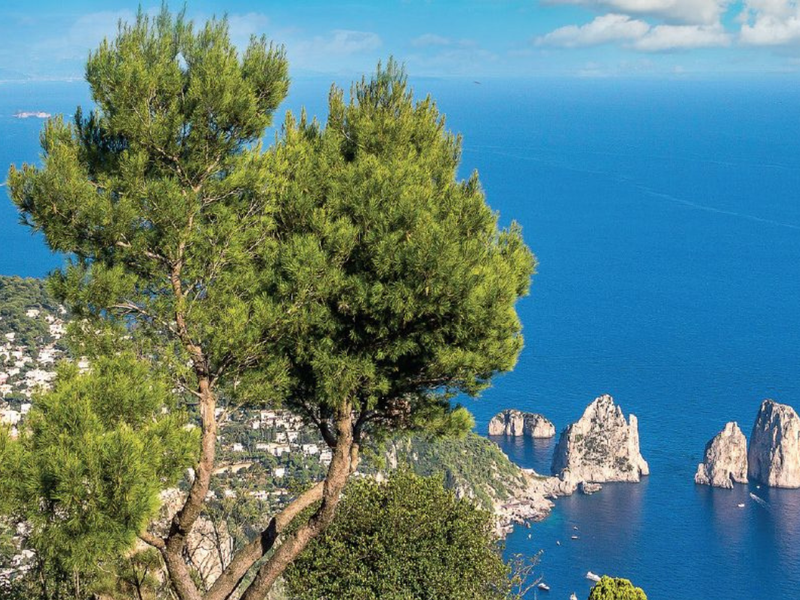 Ferry from Capri to Naples with NLG