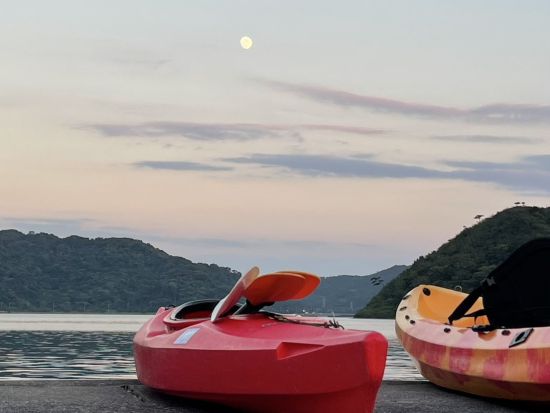 【6〜10月新月限定】神秘のナイトカヤックツアー 無数に光る夜光虫＆きらめく星空・ホタル観賞＜1時間半／雨天決行＞