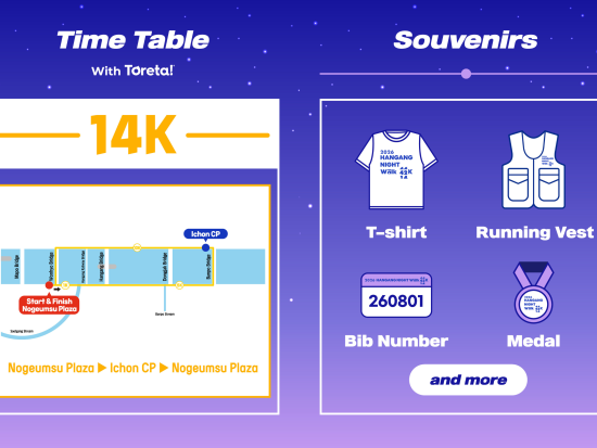 8月1日限定！漢江ナイトウォーク2026　夜の漢江沿いを14km歩くウォーキングイベント ＜ソウル発＞