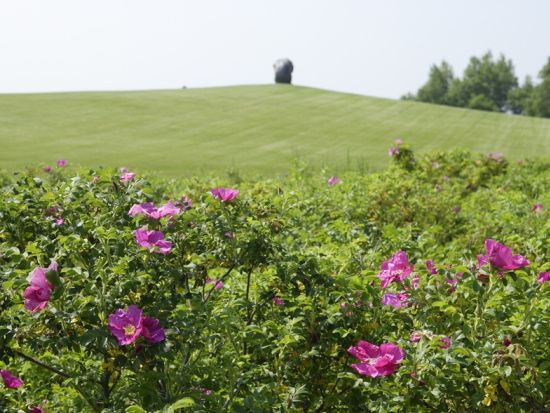 1泊2日バスツアー 北海道ガーデン街道9つの庭園めぐり 十勝・富良野・大雪の花絶景満喫旅＜アパホテル帯広駅前宿泊／2日／札幌発着＞byクラブツーリズム