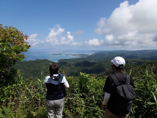 やんばるの森ハイキングツアー 山頂の絶景パノラマを目指す2時間プチの冒険＜大宜味村／2名〜＞