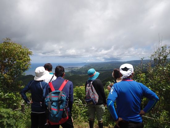 やんばるの森ハイキングツアー 山頂の絶景パノラマを目指す2時間プチの冒険＜大宜味村／2名〜＞
