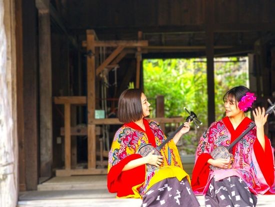 襟なし 背景ぼかし　トリミング