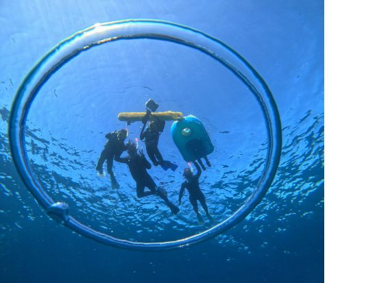 幻の島上陸＆ウミガメシュノーケリング 写真無料・器材＆送迎付き！初心者歓迎の半日ツアー＜約3時間／石垣島＞