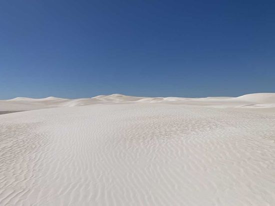 Photo1_1