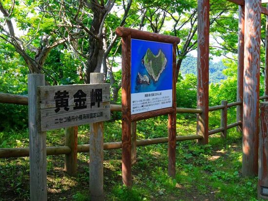 ogonmisaki2