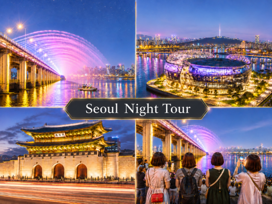 韓国到着日の夜OK！貸切ソウル夜景ツアー！ソウル観光に欠かせない人気夜景スポット【漢江公園噴水ショー,セビッソム,光化門広場,清渓川,下車地 東大門で便利】