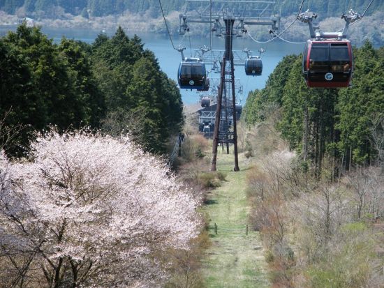 箱根ロープウェイ乗車券 片道/往復