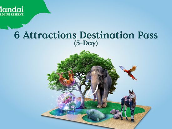 6 Attractions Destination Pass (5-Day)_with Product Headline