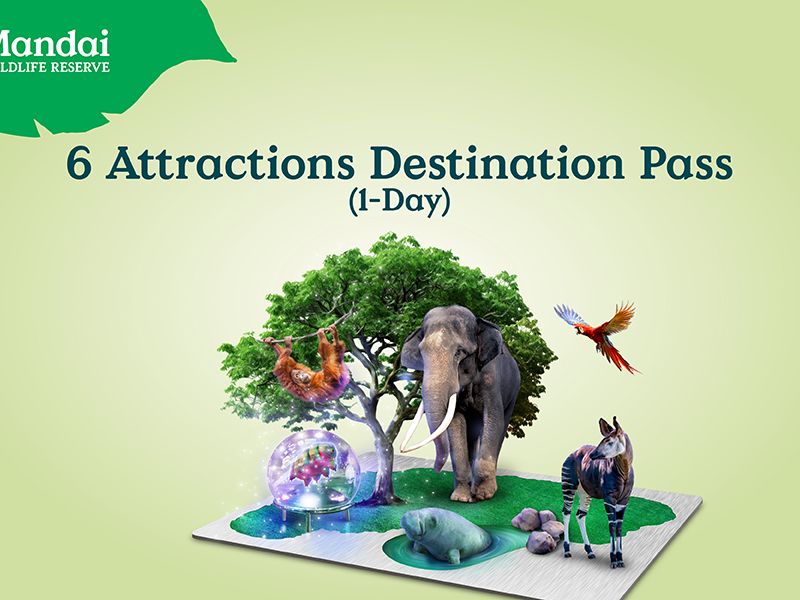 6 Attractions Destination Pass (1-Day)_with Product Headline