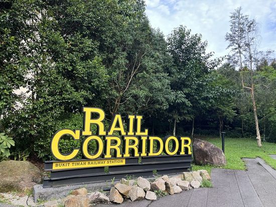RAIL9