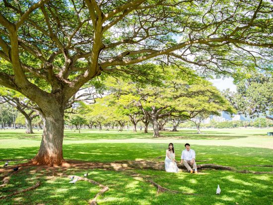 プロカメラマンと行くオアフ島絶景撮影フォトツアー　写真撮影＆データ付き＜午前・午後／2～4名／日本語／貸切チャーター＞