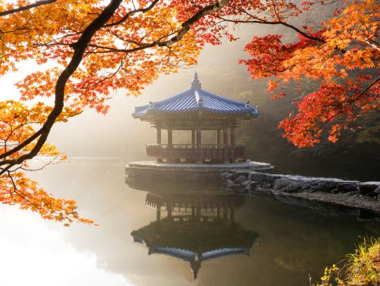 【10月28日～11月27日限定】内蔵山国立公園送迎ツアー　ソウルから行ける紅葉スポット＜1日／1名参加OK／選べる出発地／英語ガイド／ソウル発＞