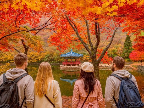 【10月28日～11月27日限定】内蔵山国立公園送迎ツアー　ソウルから行ける紅葉スポット＜1日／1名参加OK／選べる出発地／英語ガイド／ソウル発＞
