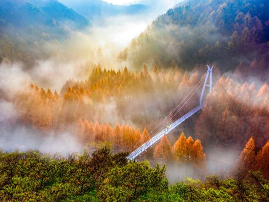 【11月9～27日限定】長泰山の紅葉＆大田（テジョン）日帰りツアー ＜英語ガイド＞
