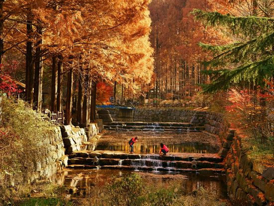 【11月9～27日限定】長泰山の紅葉＆大田（テジョン）日帰りツアー ＜英語ガイド＞の写真4