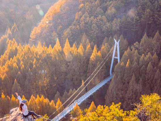 【11月9～27日限定】長泰山の紅葉＆大田（テジョン）日帰りツアー ＜英語ガイド＞