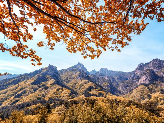 【10月12日～10月31日限定】雪岳山国立公園送迎ツアー　ソウルから行ける紅葉スポット＜1日／1名参加OK／選べる出発地／英語ガイド／ソウル発＞の写真3