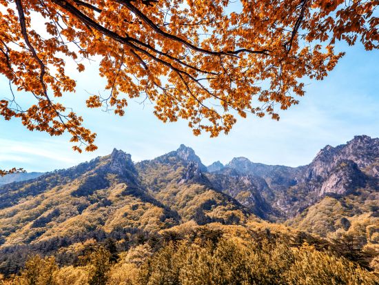 【10月12日～10月31日限定】雪岳山国立公園送迎ツアー　ソウルから行ける紅葉スポット＜1日／1名参加OK／選べる出発地／英語ガイド／ソウル発＞