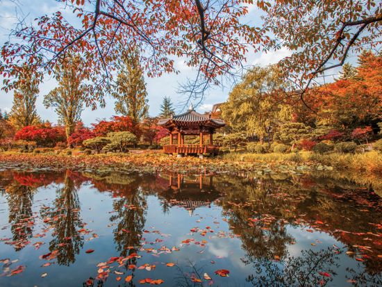 【10月26日～11月22日限定】慶州の紅葉スポット巡りツアー　普門観光団地＋ 慶州歴史地区＜1日／1名参加OK／選べる出発地／英語ガイド／釜山発＞の写真2