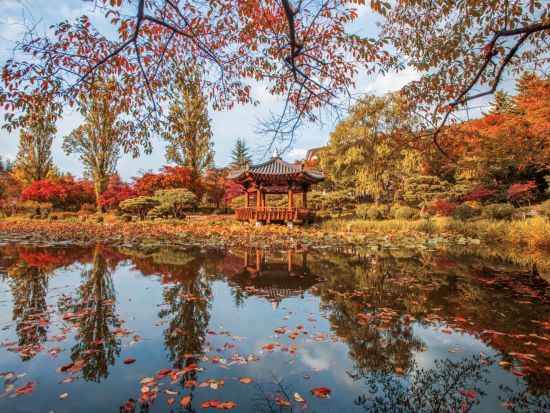 【10月26日～11月22日限定】慶州の紅葉スポット巡りツアー　普門観光団地＋ 慶州歴史地区＜1日／1名参加OK／選べる出発地／英語ガイド／釜山発＞