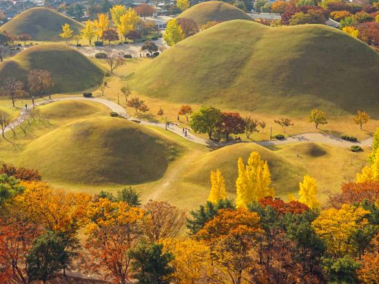 【10月26日～11月22日限定】慶州の紅葉スポット巡りツアー　普門観光団地＋ 慶州歴史地区＜1日／1名参加OK／選べる出発地／英語ガイド／釜山発＞