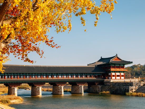 【10月26日～11月22日限定】慶州の紅葉スポット巡りツアー　普門観光団地＋ 慶州歴史地区＜1日／1名参加OK／選べる出発地／英語ガイド／釜山発＞の写真1