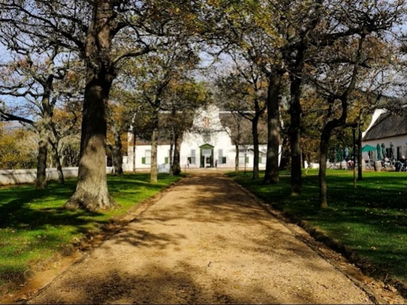 Groot Constantia Wine Estate-1