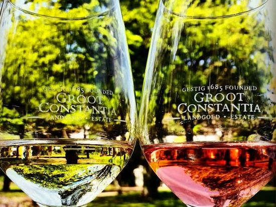 Groot Constantia Wine Estate-3