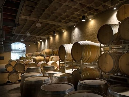 Groot Constantia Wine Estate-4