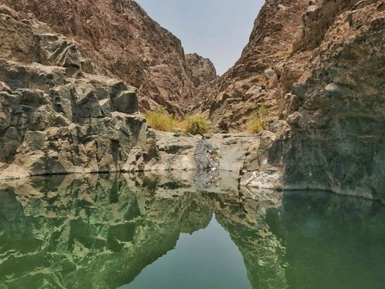 Wadi Shawka (1)