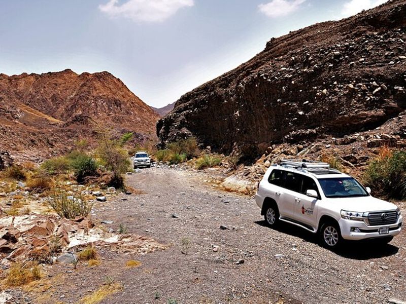 Wadi Shawka (5)