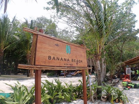 Banana18