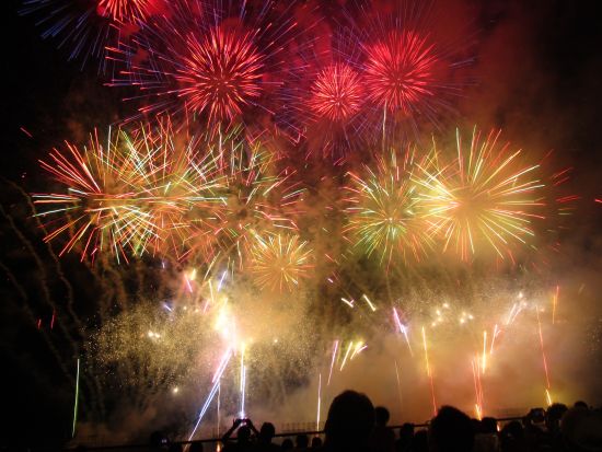 横浜発 日帰りバスツアー 第110回記念 足利花火大会 約20,000発の大迫力花火と有料観覧席付き＜8月1日限定＞