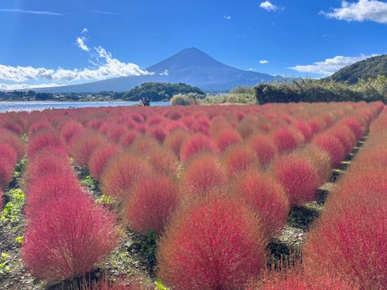 Oishi Park_1000x750