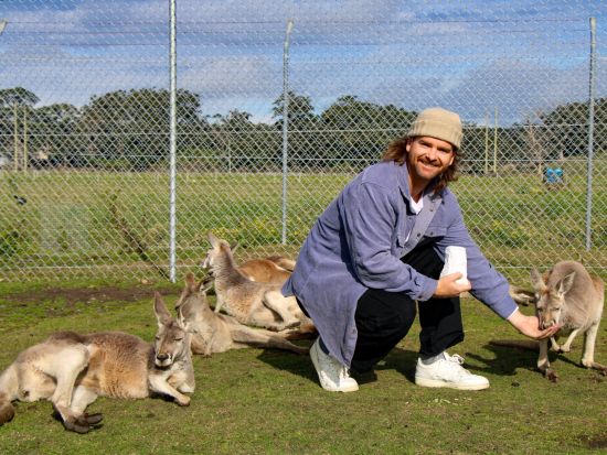 ポートスティーブンス動物ふれあい1日ツアー　イルカウォッチング＋コアラふれあい＋カンガルー餌やり　BBQランチ付き！＜7時間／英語ガイド／ニューカッスル発＞