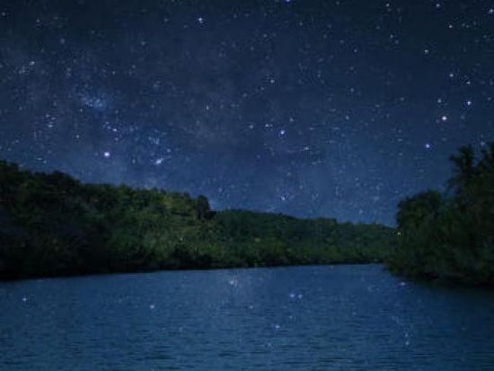 Bohol Firefly Tour3